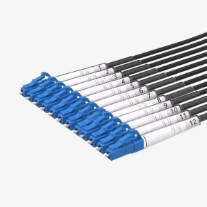 Fibre Systems | G202-xxxUSM-12LC